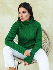 Sweater Dixon Green